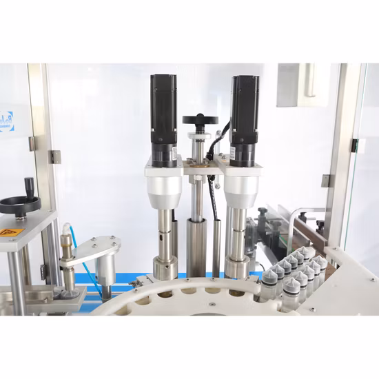 Automatische Abfüllmaschine für flüssiges Wasser und Pasten